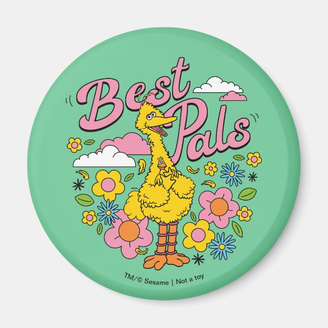 Sesame Street | Best Yellow Bird Pals Magnet (Front)
