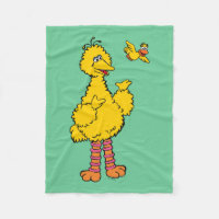 Sesame Street | Big Bird & Little Bird