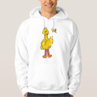 Sesame Street | Big Bird & Little Bird