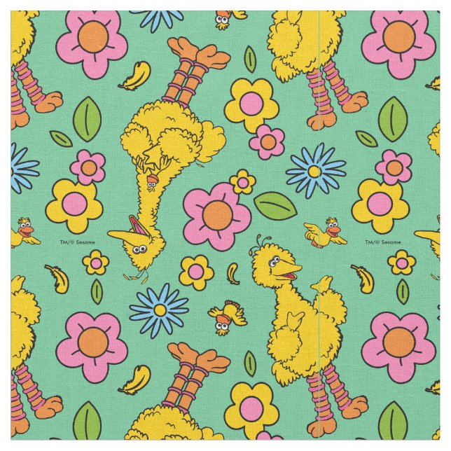 Sesame Street | Big Bird & Little Bird Pattern Fabric (Close Up)