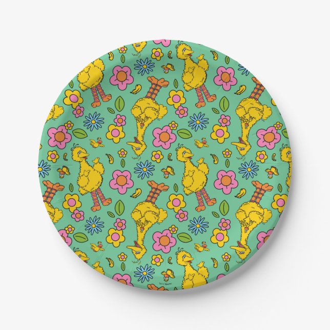 Sesame Street | Big Bird & Little Bird Pattern Paper Plate (Front)