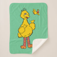 Sesame Street | Big Bird & Little Bird
