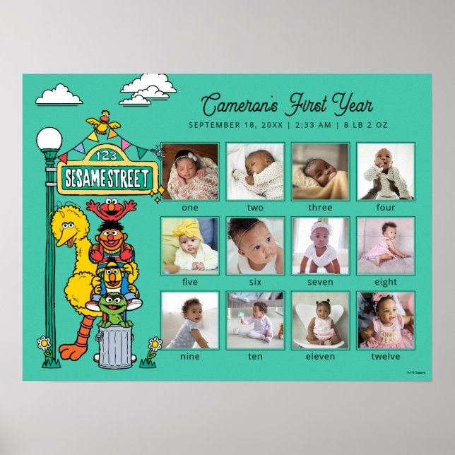 Sesame Street Characters & Street Sign (Front)