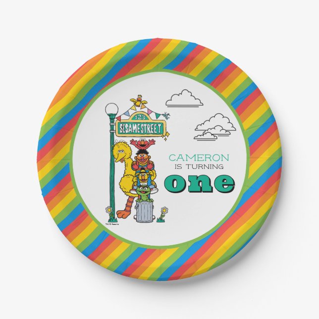 Sesame Street Characters & Street Sign Birthday Pa Paper Plate (Front)