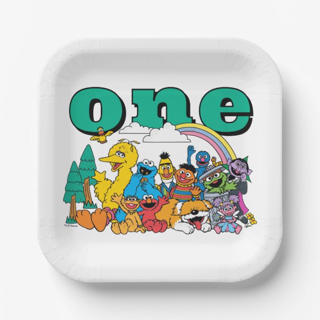 Sesame Street Characters & Street Sign Birthday Pa Paper Plate (Front)