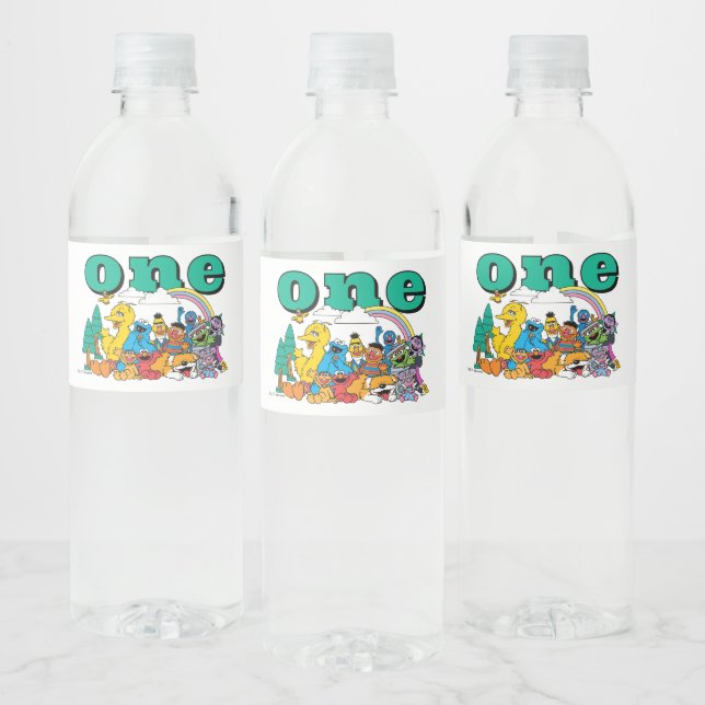 Sesame Street Characters & Street Sign Water Bottl Water Bottle Label (Bottles)