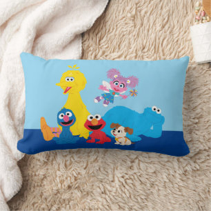 Sesame Street   Colourful Sesame Street Pals Lumbar Cushion