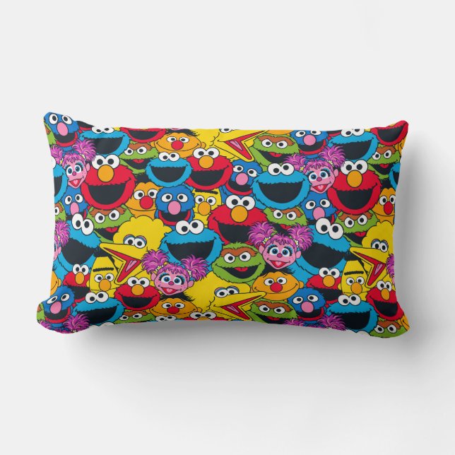 Sesame Street Crew Pattern Lumbar Cushion (Front)