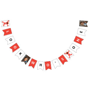 Sesame Street Elmo   Crayon Birthday Bunting