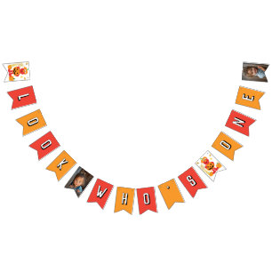 Sesame Street - Elmo   Pumpkin First Birthday Bunting