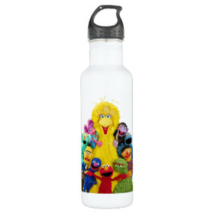 Sesame Street   Fun Colourful Pals Portrait 710 Ml Water Bottle