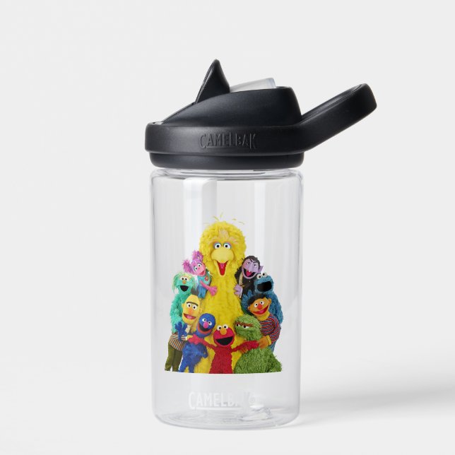Sesame Street | Fun Colourful Pals Portrait Water Bottle (Left)