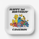 Sesame Street Pals 1st Birthday