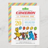 Sesame Street Pals | Balloons 1st Birthday