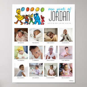 Sesame Street Pals Balloons One Year of 12 Months Poster