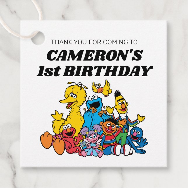 Sesame Street Pals Birthday Favour Tags (Front)
