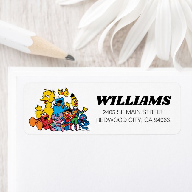 Sesame Street Pals Birthday  Return Address Label (Insitu)