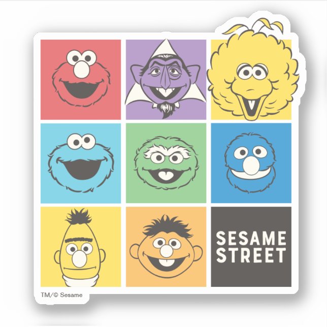 Sesame Street Pals | Colour Blocks (Front)