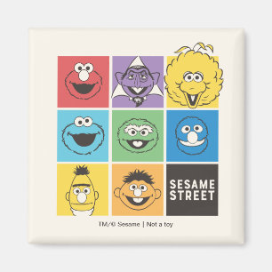 Sesame Street Pals   Colour Blocks Magnet