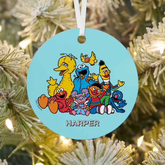 Sesame Street Pals | Customised Name & Photo Metal Tree Decoration (Insitu)