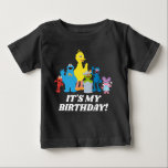 Sesame Street Pals | It's My Birthday Baby T-Shirt<br><div class="desc">Let your little one shine on their special day with the Sesame Street Pals It’s My Birthday Baby T-Shirt. This adorable design features Elmo, Cookie Monster, Big Bird, and Abby Cadabby in a cheerful and colourful layout that’s perfect for a Sesame Street-themed celebration. With playful details and vibrant accents, this...</div>