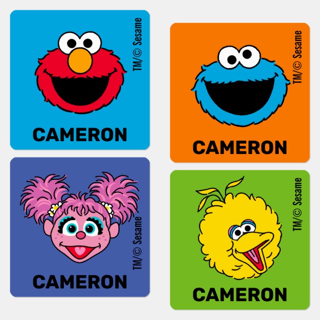 Sesame Street Personalised Kids (Group)