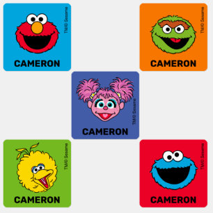 Sesame Street Personalised Kids Labels