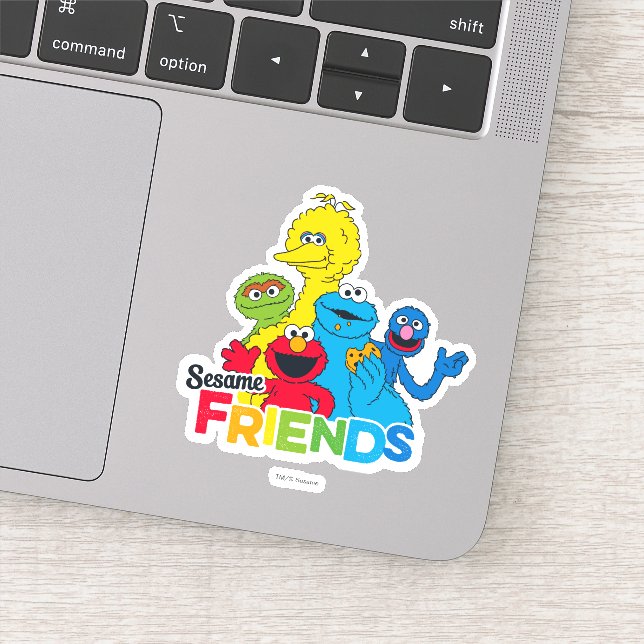 Sesame Street | Sesame Friends (Detail)