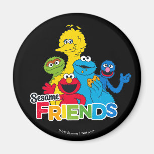 Sesame Street   Sesame Friends Magnet