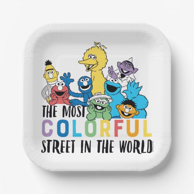 Sesame Street | The Most Colourful Street Paper Plate (Front)