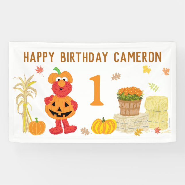 Sesame Street's Elmo Fall Birthday Banner (Horizontal)
