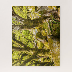 Sessile oaks and moss in Wistman's Wood Jigsaw Puzzle