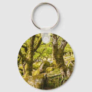 Sessile oaks and moss in Wistman's Wood Key Ring