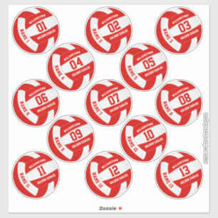 Set of 13 custom sports player names volleyball