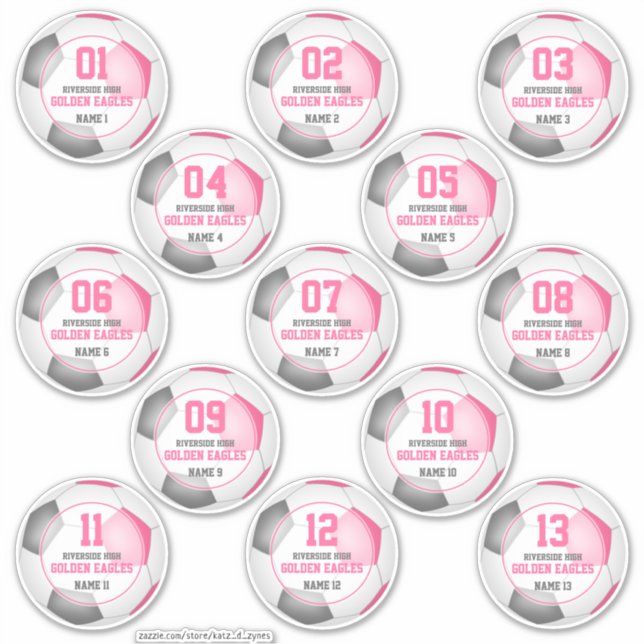 Set of 13 girls pink grey soccer team spirit (Front)