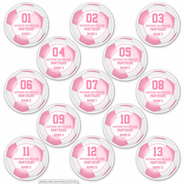 Set of 13 girls pink soccer club team spirit (Front)