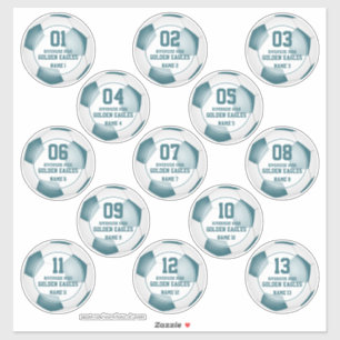 set of 13 teal white soccer team colours girls boy