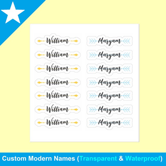 (Set of 14) Elegant Signature Script Name Stickers (Handwritten name labels
)