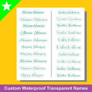 (Set of 20) Mint Transparent Simple Name Stickers