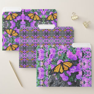 Set of 3 File Folders Monarch Butterfly on Asters