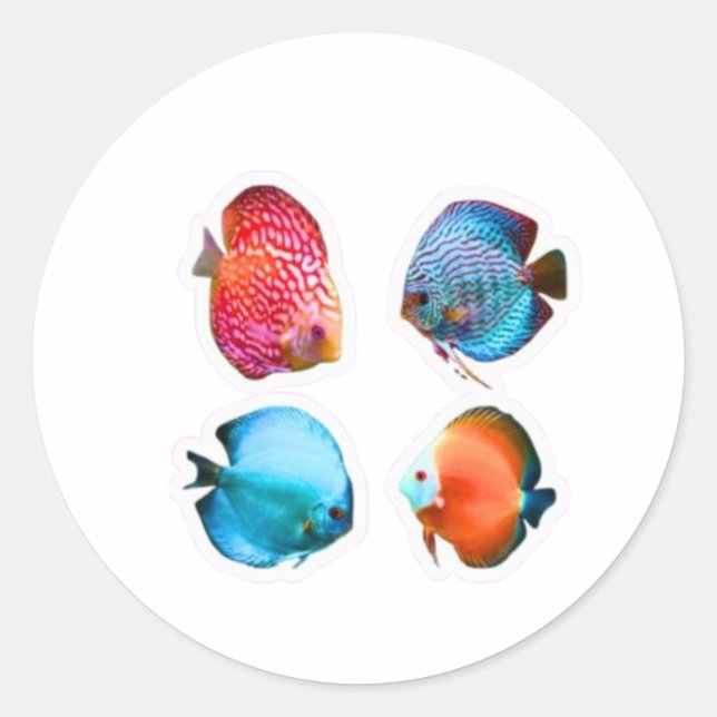 ​Set of 4 Vibrant Discus Fish Decals - Tropical Fr Classic Round Sticker (Front)