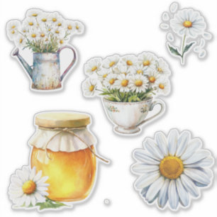 Set of 5 White Country Daisy 