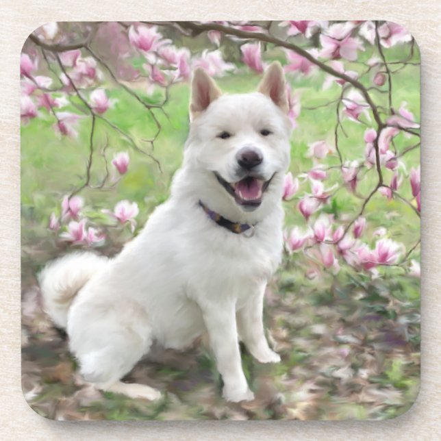 Set of 6 Cork Back Coasters White Akita (Front)