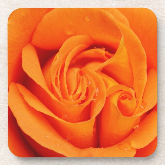 Set of 6 drink coasters Orange rose flower retro (Front)