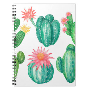 Set of cacti with flowers. Isolated elements on a  Notebook