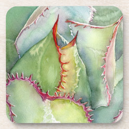 Set of six agave watercolor coasters