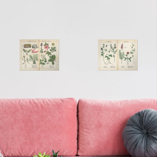 Set of Two Reproduction Antique Wildflower Prints (Livingroom)