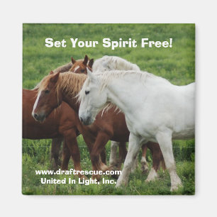 Set Your Spirit Free! Magnet