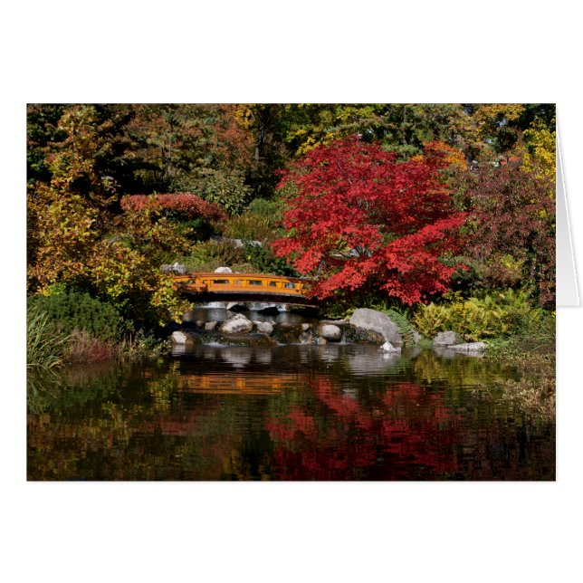 Setagaya Park (Front Horizontal)