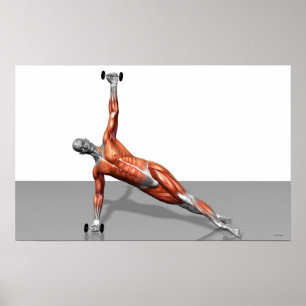 Setanta Push Up 2 Poster